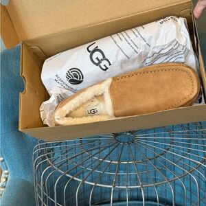 Ugg Ascot in Chestnut Size 10 Men’s NWT